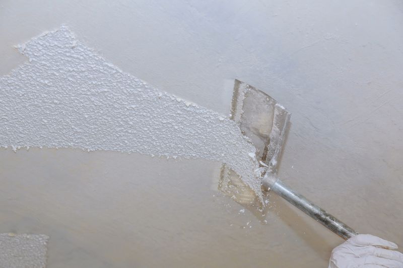 Ceiling Removal Service in Santa Rosa, CA
